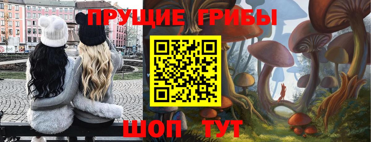 Южноуральск  Псилоцибиновые грибы Psilocybe  Вход с VPN 